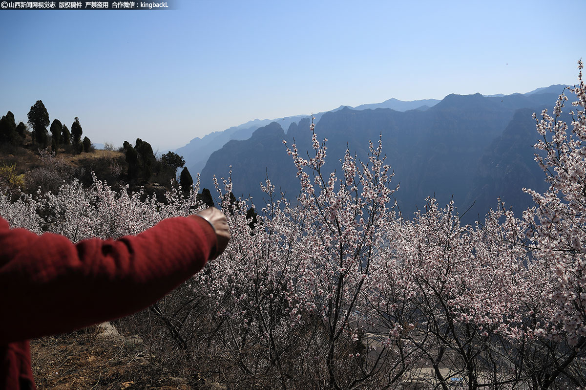     老人很善良好客，有旅游的人过来，她就热情的领着客人给介绍这里的风景，讲大山的故事。