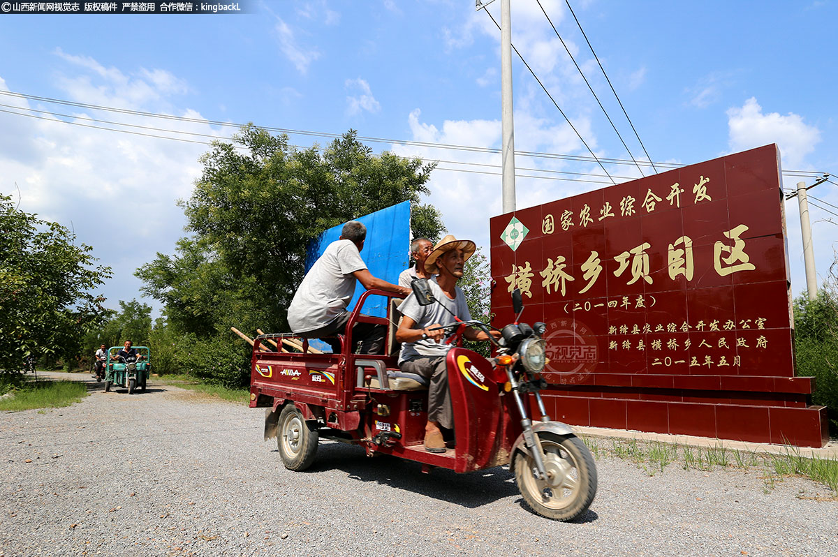      下午一点，室外温度已达36摄氏度，支社村的村民陆续来到核桃地里除草。8月的田间地头，他们是高温下最美的劳动者, 也是一道最靓的风景。