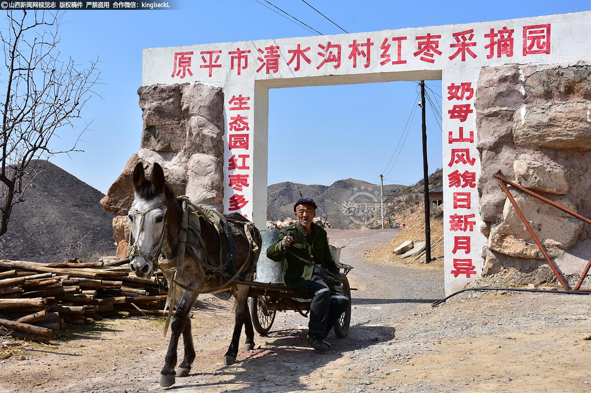      该村先后成立了多个农村合作社，广泛吸收村里贫困户参与其中，本着将“输血”脱贫变为“造血”脱贫的理念，让贫困户脱真贫，真脱贫。