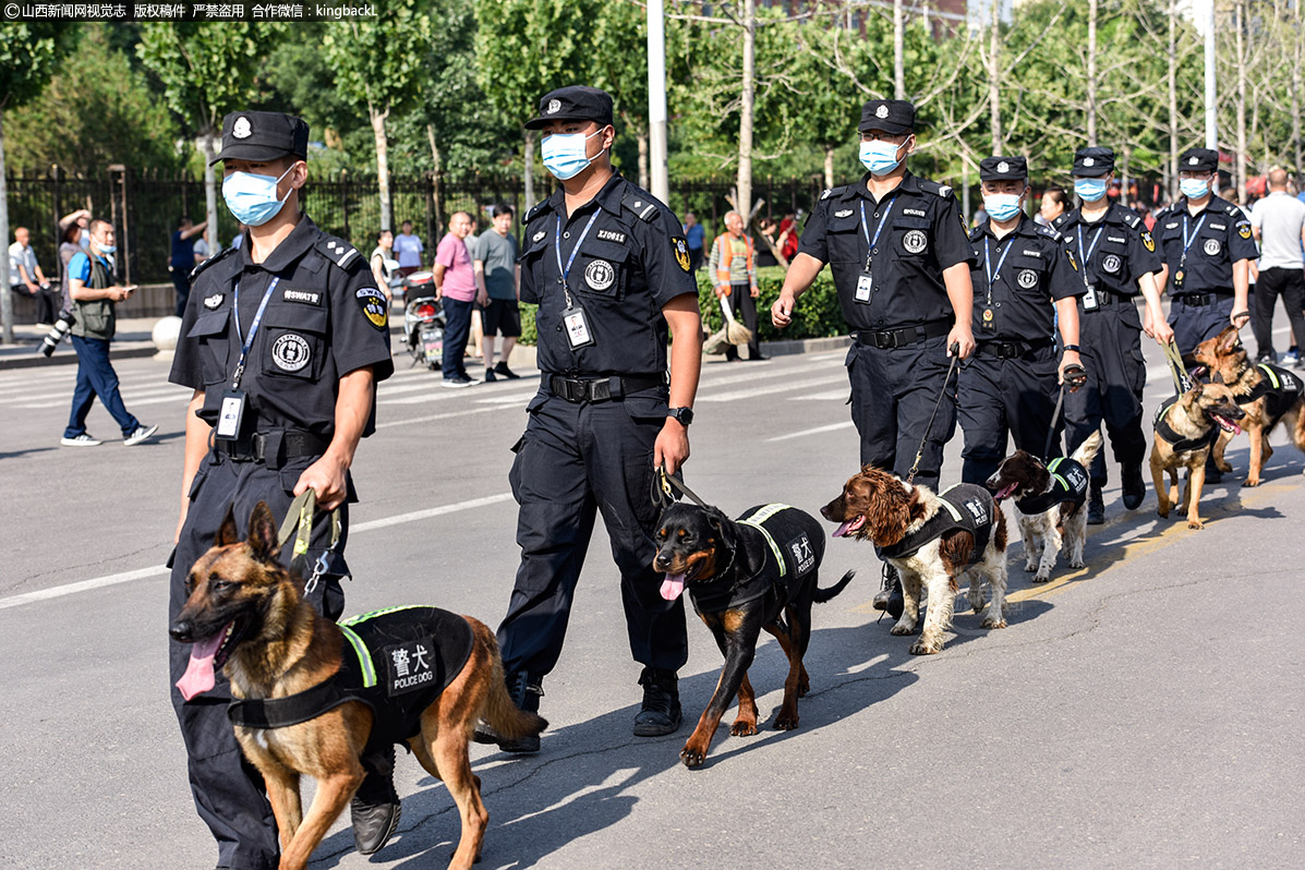      山西省孝义市一中考点，孝义公安局警犬训练大队在校门口巡查。（山西新闻网特约摄影师：孙燕）