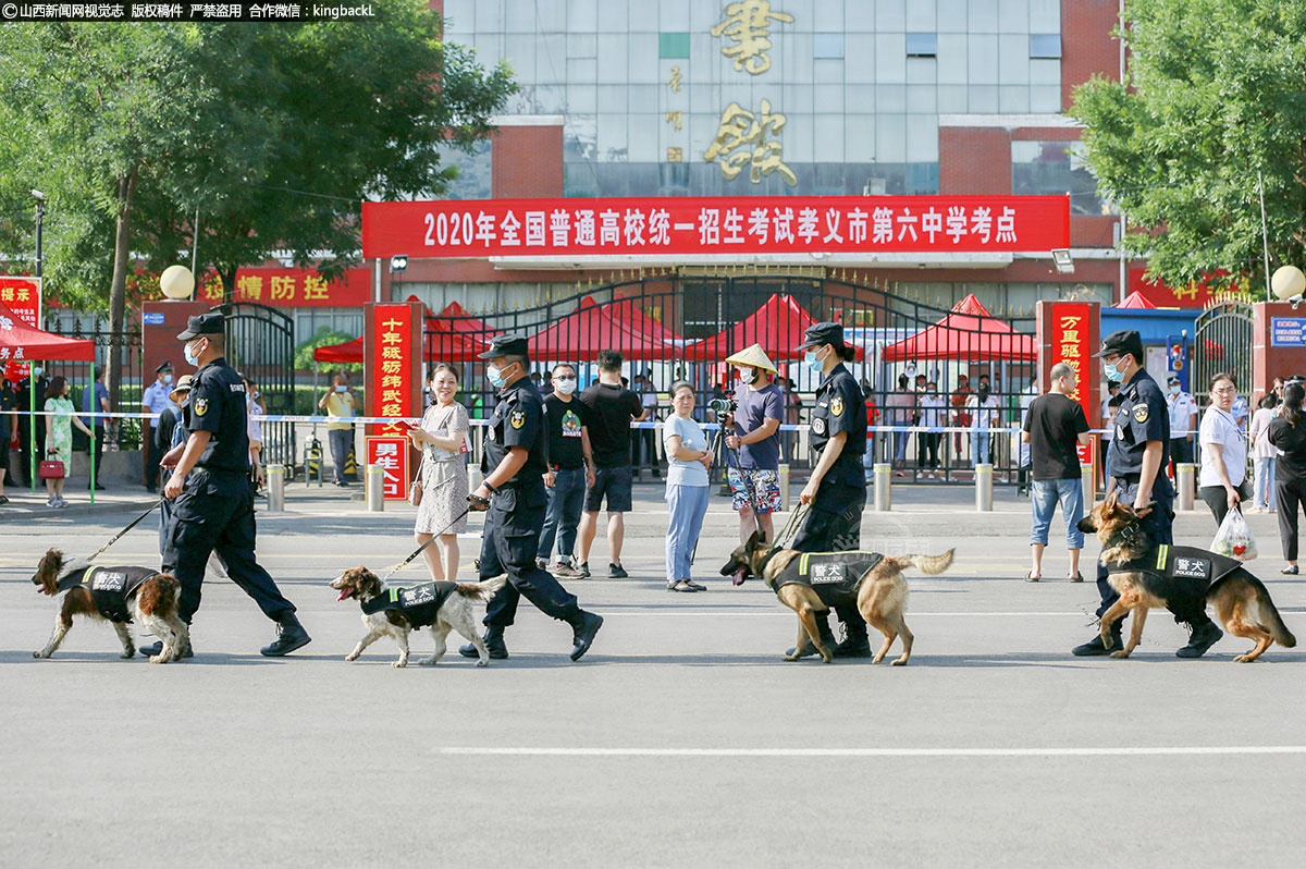      山西省孝义六中考点外，警员带领警犬在场外巡逻。（山西新闻网特约摄影师：郭建华）