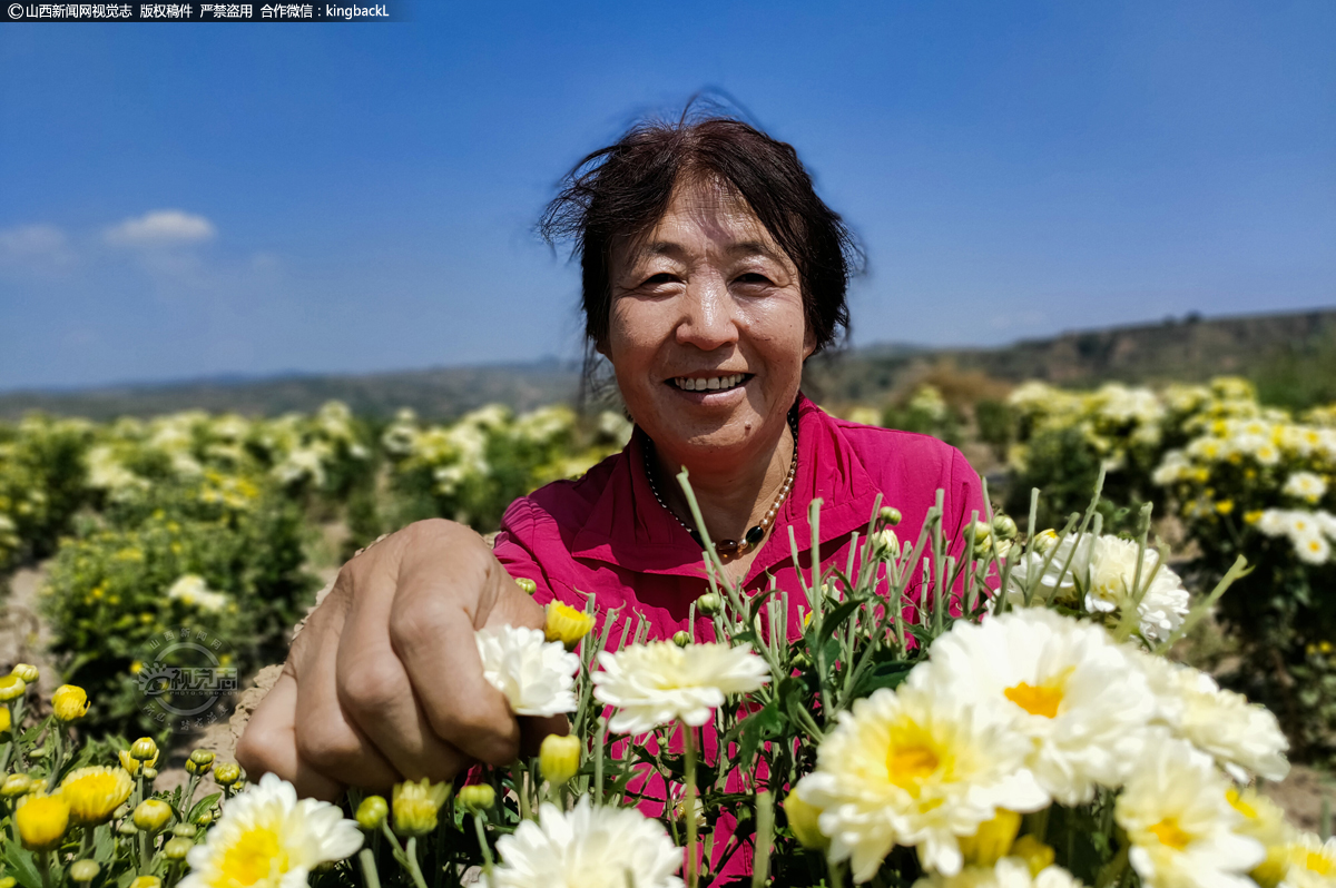      菊花为短日照植物，在短日照下能提早开花。喜阳光，忌荫蔽，较耐早，怕涝。喜温暖湿润气候，但亦能耐寒，严冬季节根茎能在地下越冬。花能经受微霜，但幼苗生长和分枝孕蕾期需较高的气温。最适生长温度为20℃左右。