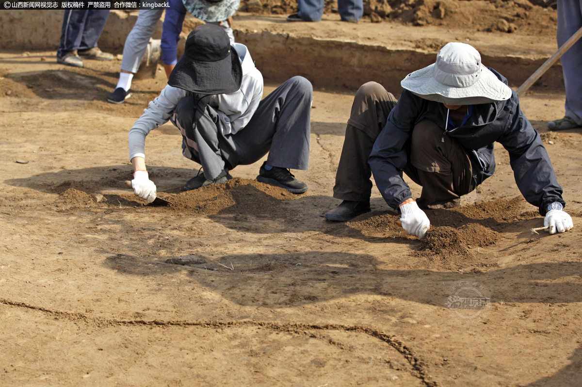      2012年秋季，联合考古队开始重新钻探“宫殿区”的工作。这一片区域此前也钻探出一些大型的夯土建筑，可能是宫殿一类遗迹，也简单做过发掘，但是整体面貌并没有弄清。