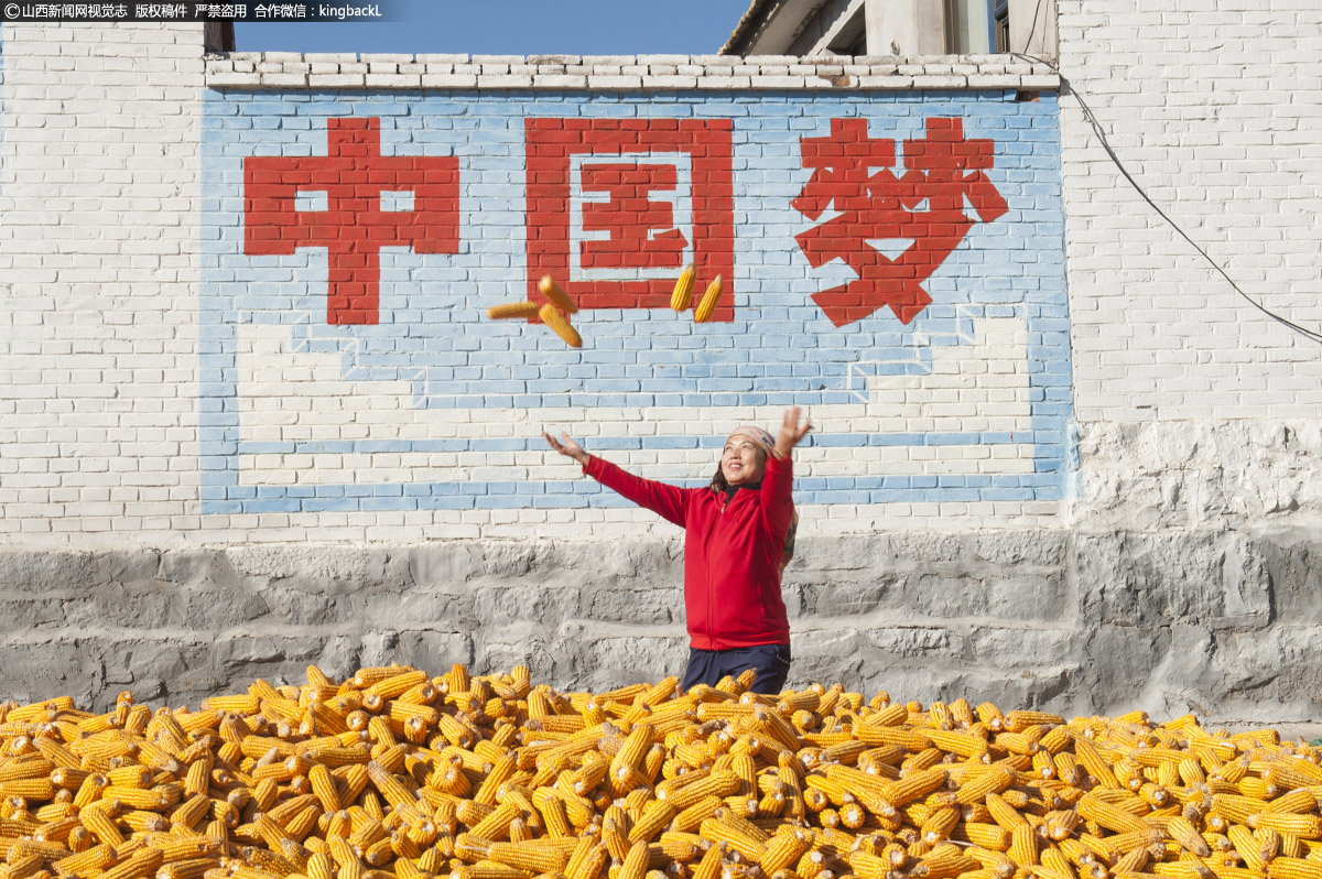      据闫庄村村主任杜凤青介绍，今年以来，风调雨顺，玉米长势良好，市场行情较高，亩均产量在1500多斤，全玉米产量600万斤，仅玉米收入人均就达6000多元。