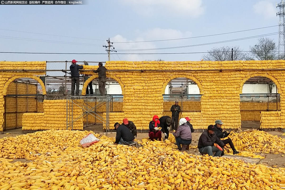      2018年闫庄乡从10月31开始建设玉米小院，一个月后，这里吸引了人们全部的目光，精致的院门、整齐的院墙、小巧的粮仓和辘轳井全都是由玉米棒搭建而成，更有一幢玉米“黄金屋”立于小院之内，展现了新农村的形象。图为2018年当地村民们搭建玉米小院。