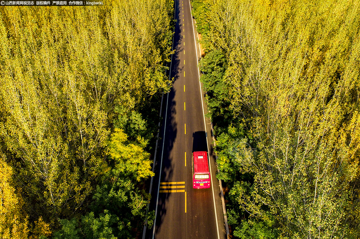      公路两畔，半树摇曳半树黄，路是树的风景，树是路的歌曲，落叶积了厚厚一叠，把秋天渲染成一个让人思念的季节。