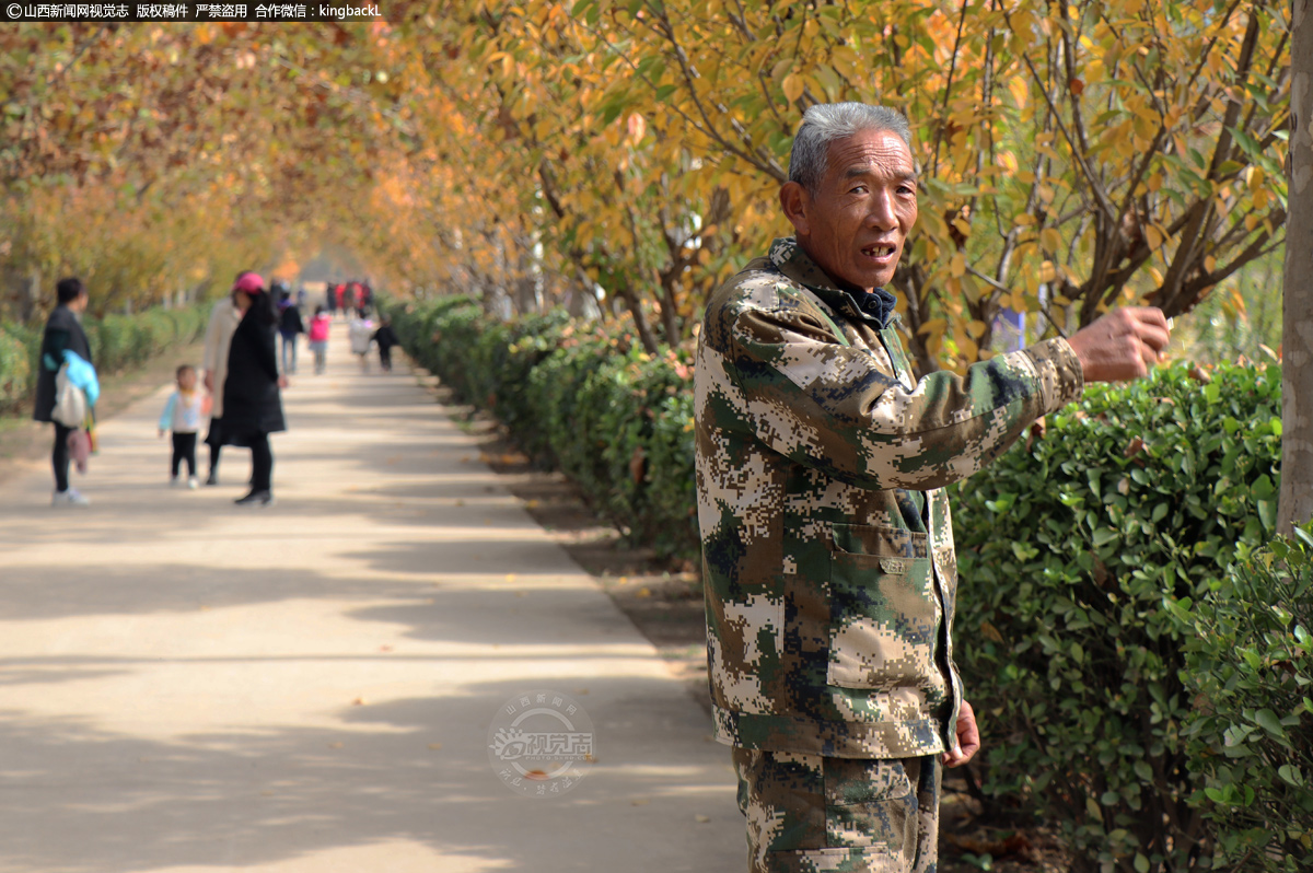      何建喜，今年六十五岁，已是年过花甲之人，是山西省运城市平陆县三湾大天鹅景区的天鹅巡护员。从刚开始的自筹口粮玉米喂养天鹅到如今的专职看护陪伴这些小精灵们，老何在这片土生土长的黄河湿地三湾沃土上，已经陪伴天鹅走过十五年的时间，每年长达五个多月的喂养天鹅也俨然成为他生活中重要的一部分。