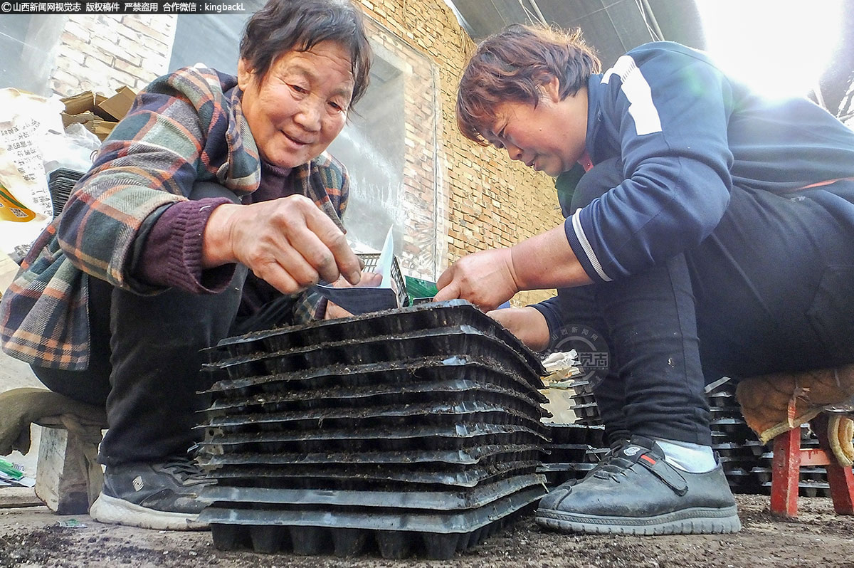      如今，当地村民们充分利用农闲时节发展大棚种植业，变农闲为农忙，实现了农业增产、农民增收。蔬菜大棚不仅丰富了市民“菜篮子”，也让当地群众鼓起了“钱袋子”。