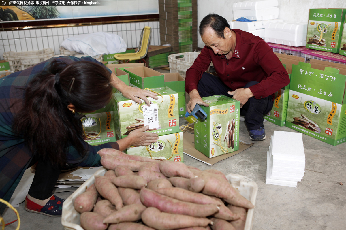      徐红栓介绍说，西徐红薯最好吃、最核心的产地在离汾河最近的300亩地里。红薯近年来由于采用的都是非转基因品种，产量比较低，大概亩产3000斤左右，精品更是只有1000斤左右，让他难为情的是，红薯产量只有这么多，想买的话就要按照排队顺序一一发货。