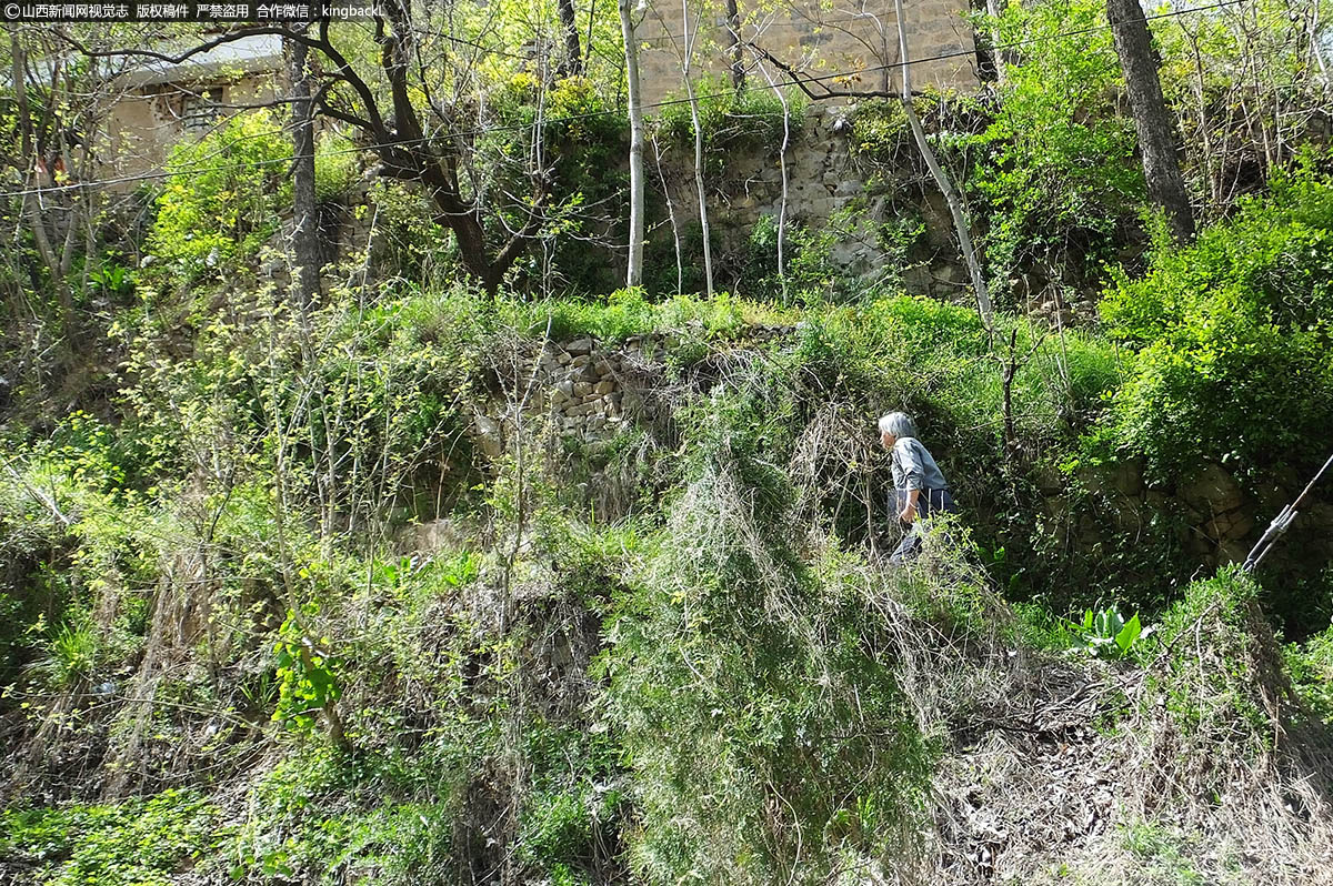      据了解，杜宁翻山越岭行万里路，为抗战老兵画像，这件事他做了26年。