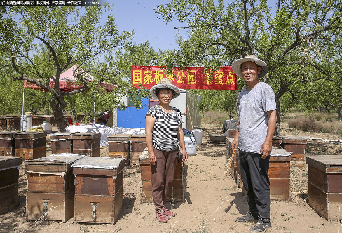      从5箱到100箱，20多年的养蜂酿蜜，让李师傅和妻子一直从事着这项“甜蜜”事业， 以诚信赢发展，以质量求生存，他们日复一日的劳动，年复一年的勤劳实干，追寻着高品质的纯蜂蜜，让吃蜂蜜的人也感受到日子一天比一天更甜。