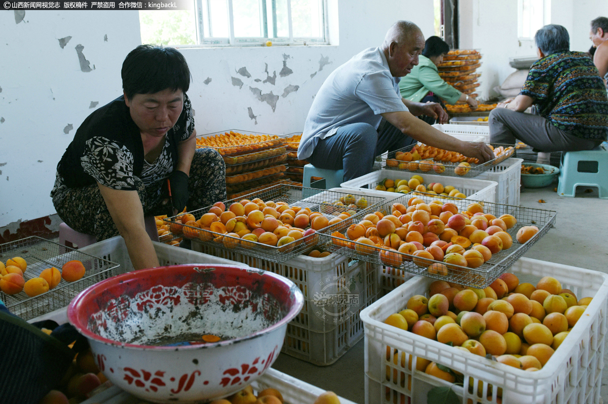      随着庞村梨果产量的逐年增加和杏干的市场走俏，成立标准化果干加工厂能够做大做强梨果产业、延伸产业链、壮大村集体经济，带动贫困户就近就业，助贫困户和农户增收。