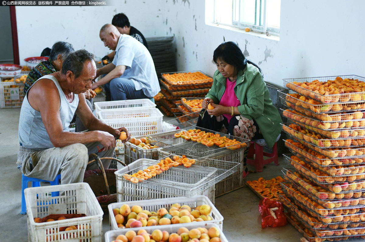      现在烤一炉杏干进“湿货”2400斤，出“干货”400斤，按最低市场价，一炉杏干村民们收入达9000元。