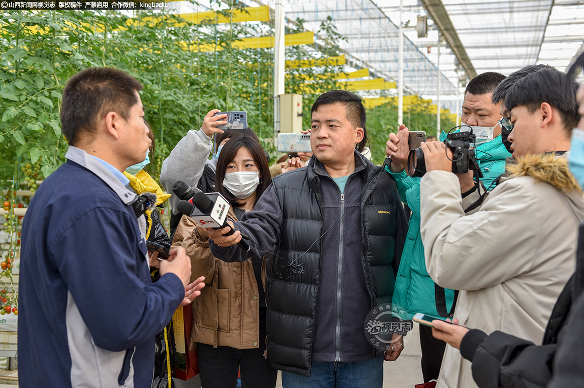      “我们引进的是西班牙、荷兰的优良品种，结出的果实是成串的番茄，这种番茄与市面上销售的番茄在口感上有很大的差别，而且在同样的种植面积下，我们的番茄产量要比普通的番茄产量高出30%左右。” 山西田森杜氏番茄科技有限公司总经理高瑞利介绍。