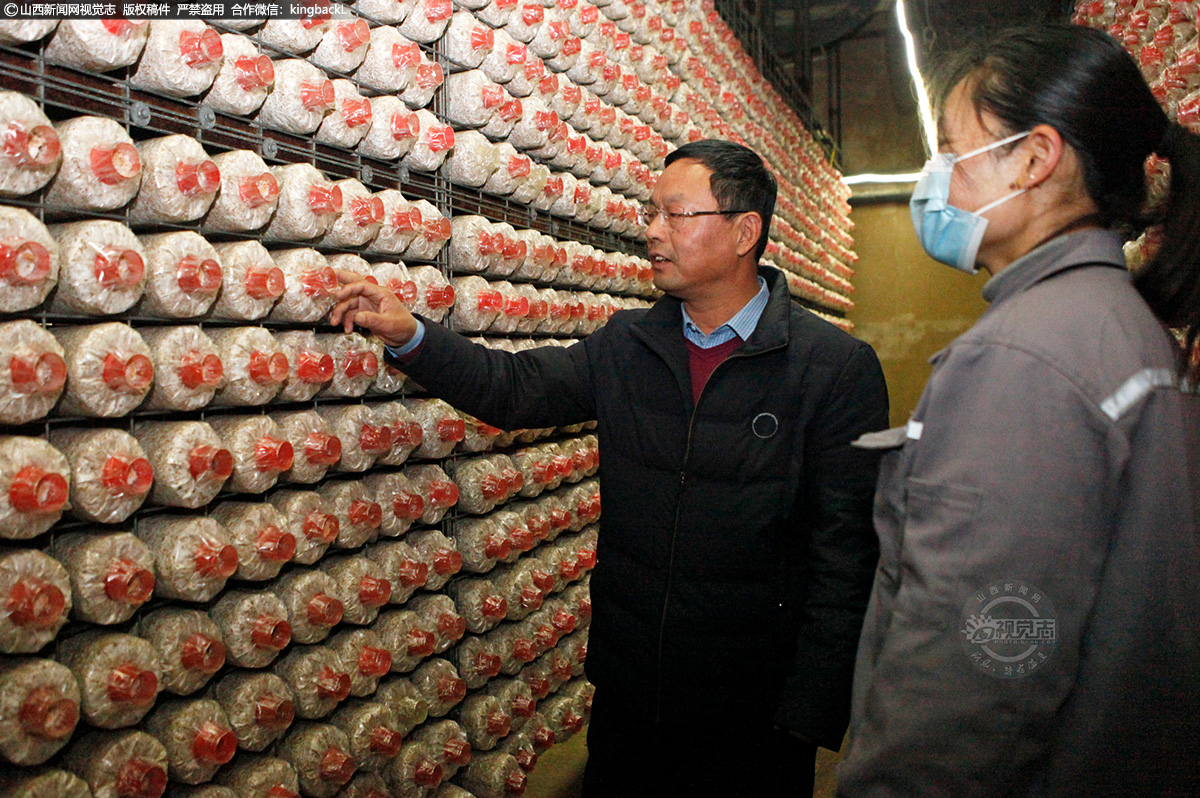       “把菌菇生产基地建成有带动示范作用的现代化高效食用菌种植园区，带动更多的乡亲发家致富。”刘秋喜说起工厂化发展蓝图时信心十足。目前，种植食用菌已成为当地的一项特色优势产业，也为当地贫困户开拓了一条新的产业脱贫之路。