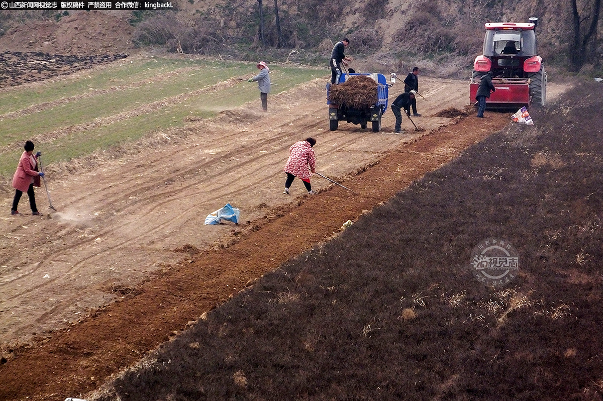      行走在下堡村的药材基地，轰鸣的机械声穿梭在田野里，沁人心脾的药香扑面而来。