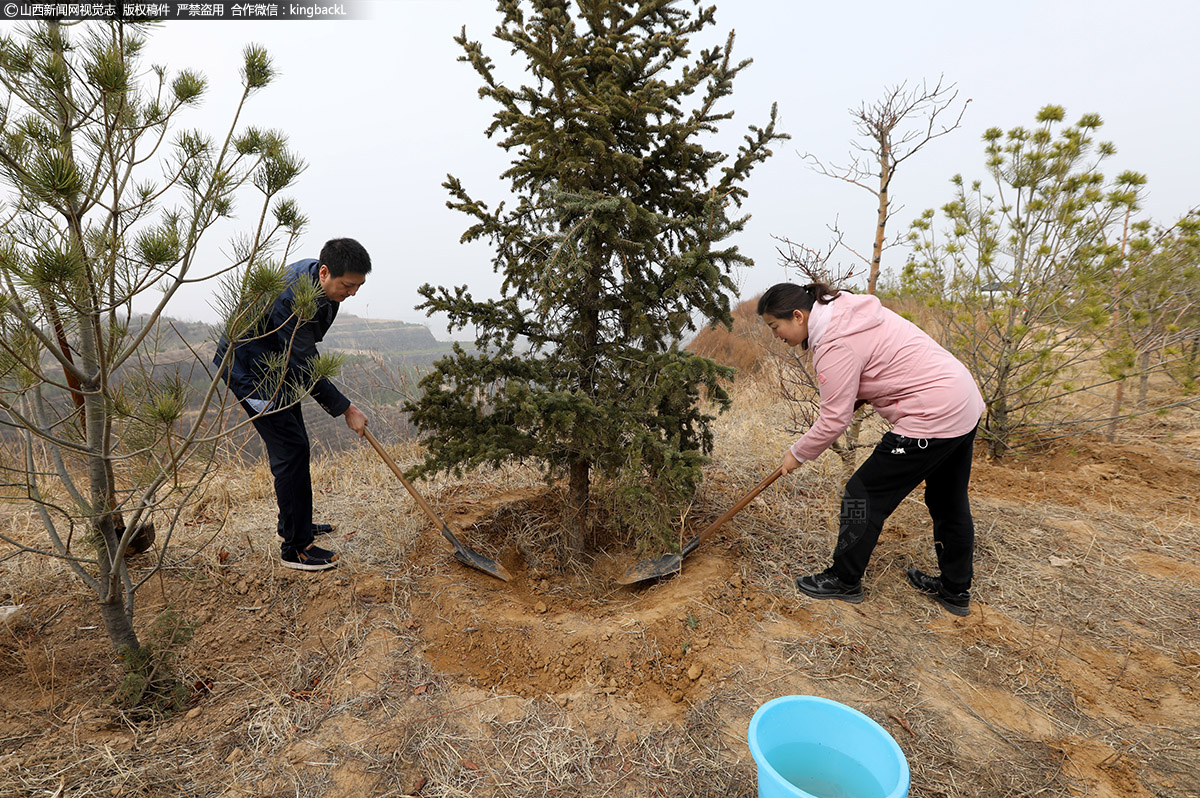      人多力量大，种一棵树，没一会儿就好了。他们认真的填土，保证白皮松树的成活率。