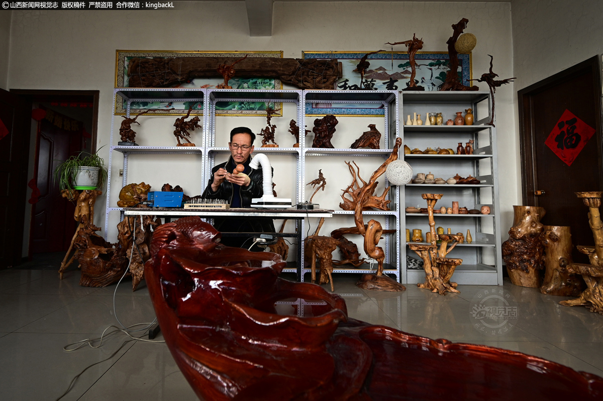      李左群，山西省临汾市安泽县良马乡良马村人。2010年，一次偶然的机会李左群接触到了根雕艺术，从此便深深的喜欢上了这项技艺。多年来，他购买书籍、查找网络，开始不断的专研练习，逐渐领悟到了根雕的精髓。（■本期摄影：赵文胜  孙秋虎  郭俊伟）
