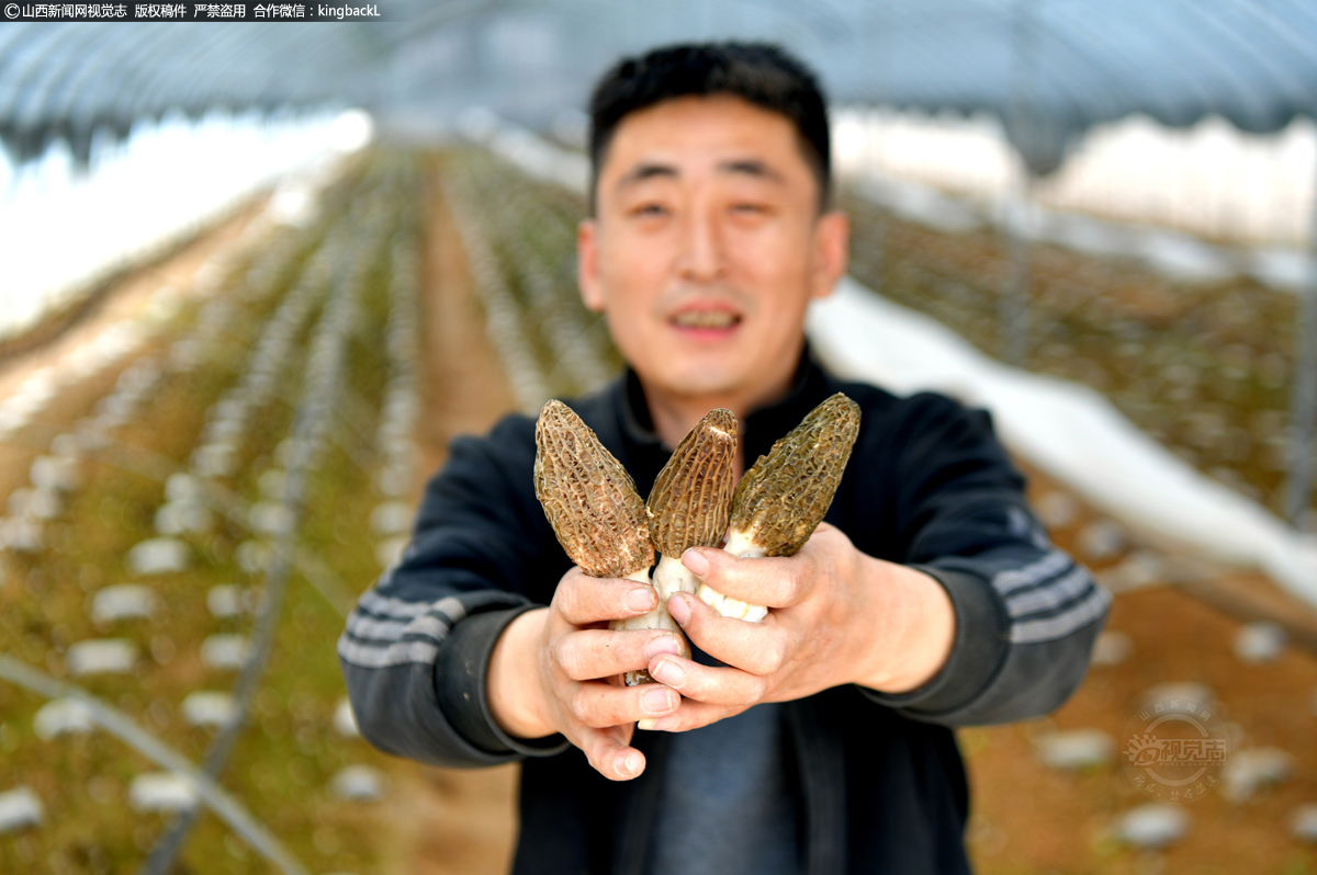      近年来古县三合镇贾村充分发挥地域优势，深挖土地资源潜力，实行“党建+经济合作组织+农户”运行模式，鼓励引导农户大力发展特色种植，打造具有贾村特色的农业产业基地，增加农民收入，助力乡村振兴。