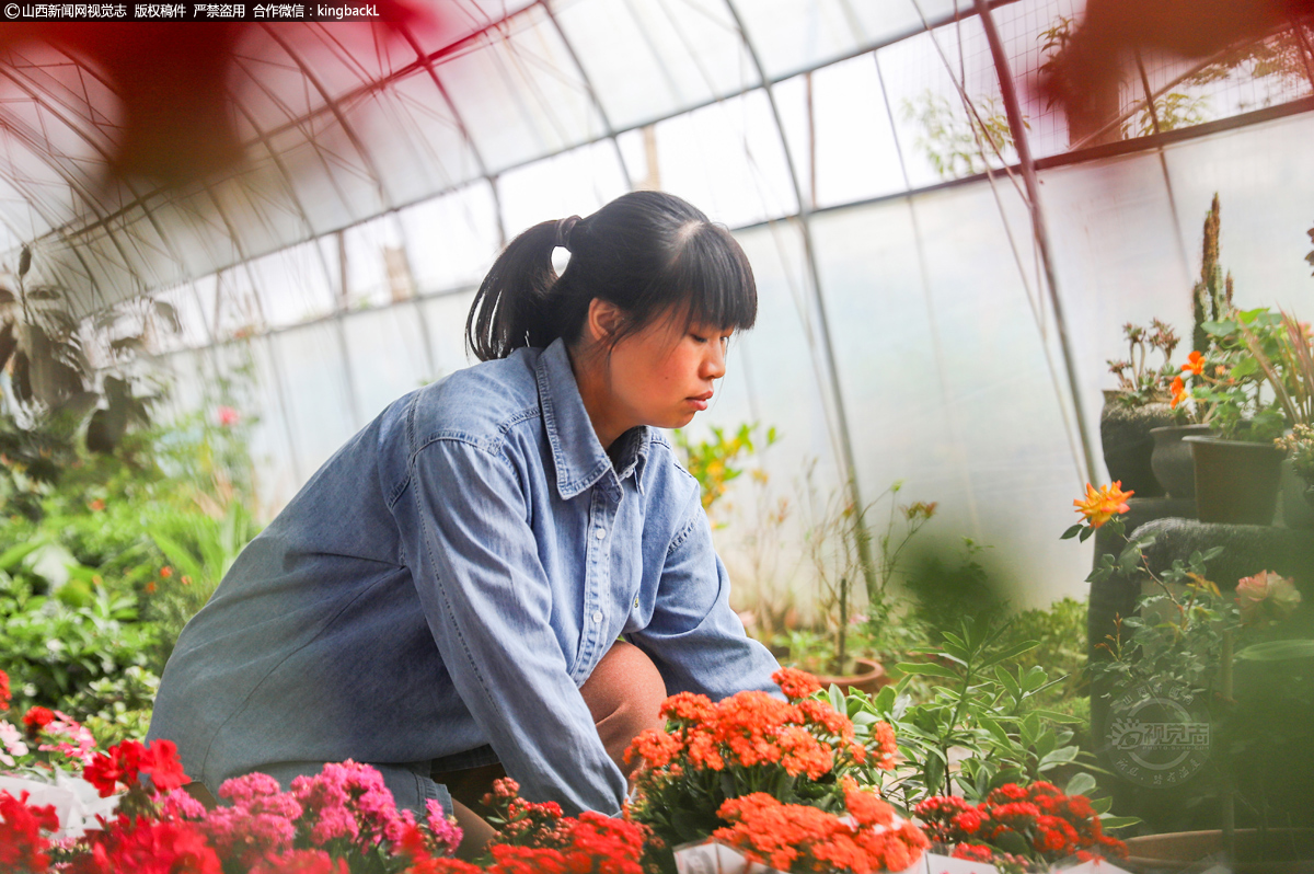      杜亚娟，2006年毕业于运城师范学院，毕业后当了6年教员，之后又在外地打工，她在广西桂林一蛋糕店当店长期间，发现鲜花生意比较好，便想出回乡种花这一致富门路。一个多月后，她主动辞去蛋糕店工作，毅然回到家乡，在花艺培训学院学习种花技术。花艺培训学院毕业后，她先在县城一家花圃打工，一边实习一边挣钱。