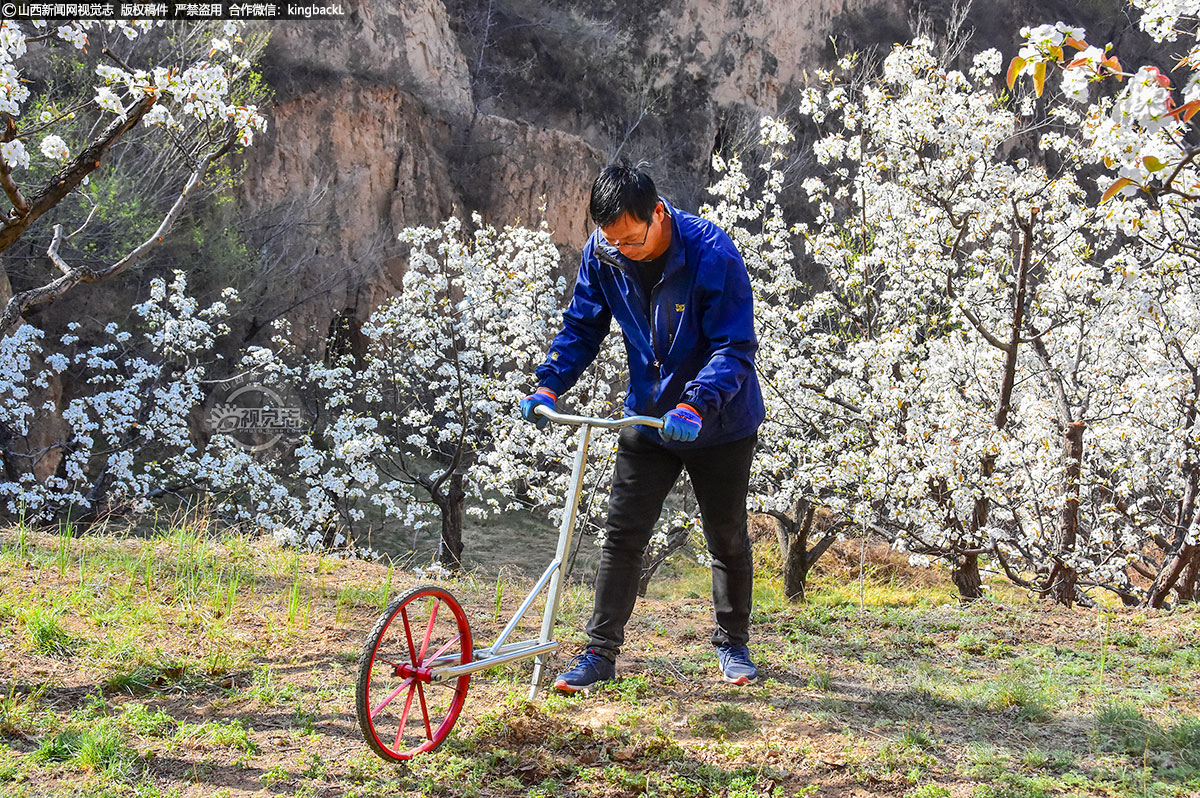      手推式简易除草机比传统锄头快，适合各种地形，只要生长庄稼的地方都可以使用，一定程度让人们从繁重的体力劳动解放出来。