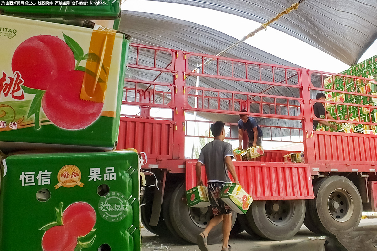      油桃种植已形成规模化、产业化、市场化、品牌化多种产供销模式。出口中东等十余个国家和地区。 