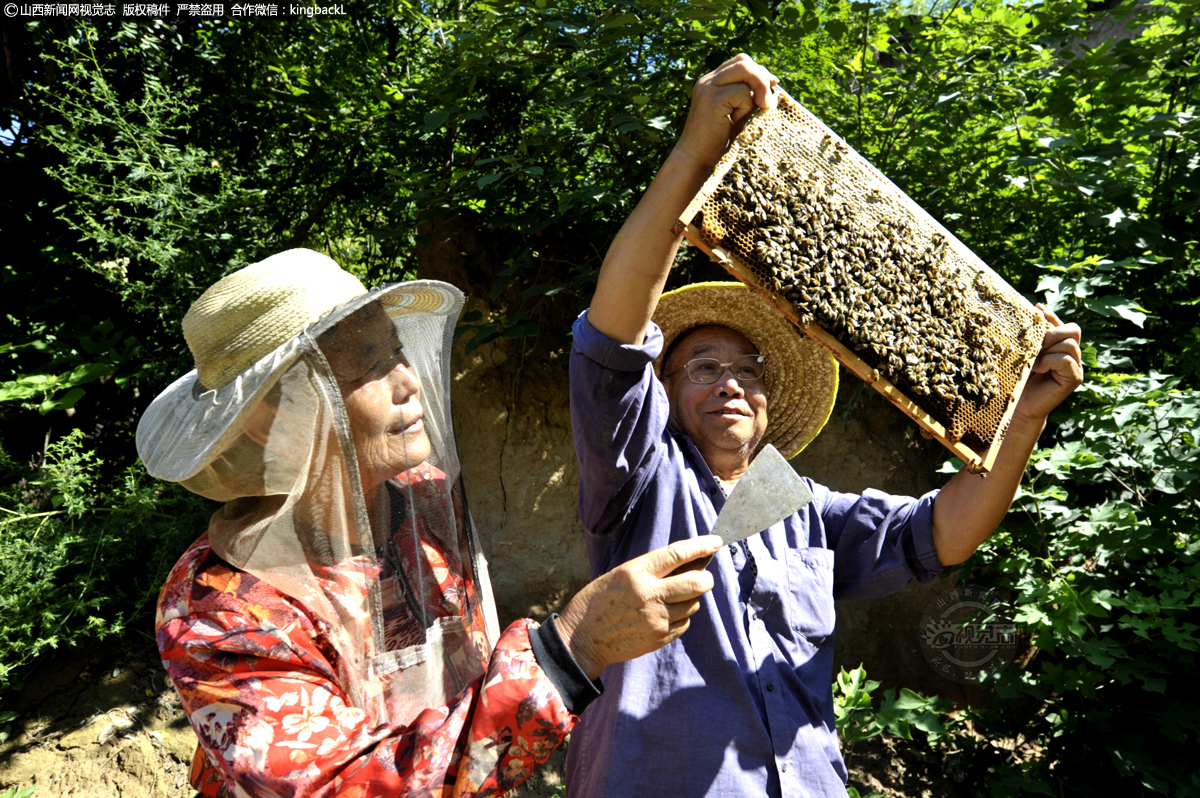      春夏秋冬，每一天都是蜂农的辛勤劳作和希望。他们与蜂共舞，酿造“甜蜜生活”。7月25日，山西省运城市万荣县七庄村66岁的蜂农杜定义和老伴儿正在自家果园检查蜂巢。（■本期摄影：张怀心）