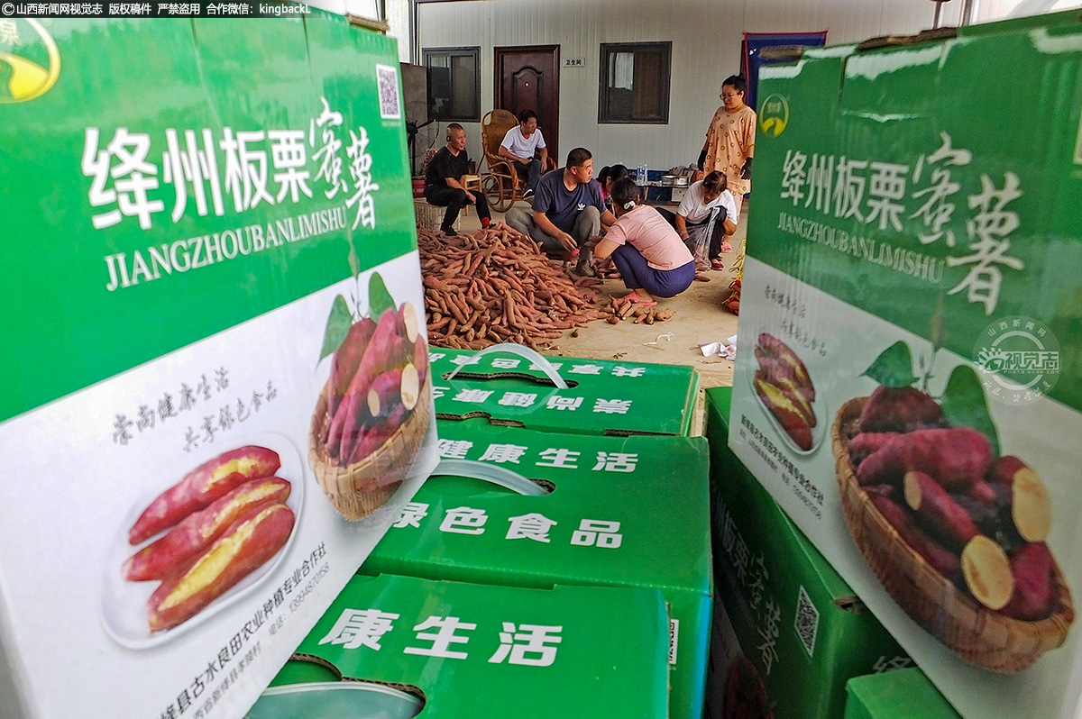      板栗蜜薯的外表多为紫红色，果肉为金黄色，皮薄肉厚，并具有栗子的特殊口感。板栗红薯的营养价值很高，含有多种对人体有益的糖份和维生素。