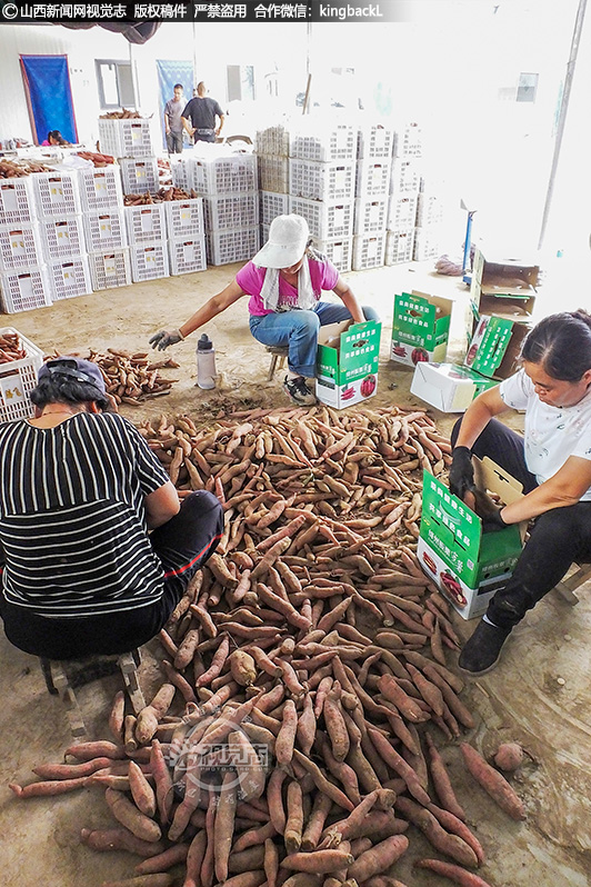      当地因地发展种植，在改善环境，壮大经济，拓宽农民脱贫增收致富渠道的同时，也让种植业成为新时期加速乡村振兴的新型产业。