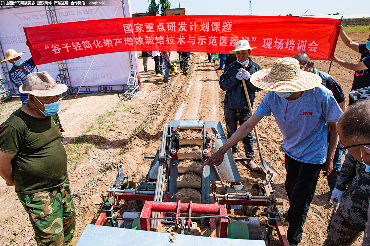      新农人们都继承了中国农民身上吃苦耐劳、不怕困难的品格。郝卫芳马不停蹄地搞研究、找项目、谈合作，一有空还是扑在谷子地里，想把谷子种得更好。她时刻记挂着乡里乡亲，每年都想尽办法给大家引入农业科技培训。毒日头晒着黄土地，汗流进眼睛里，老农人们却甜在心里。