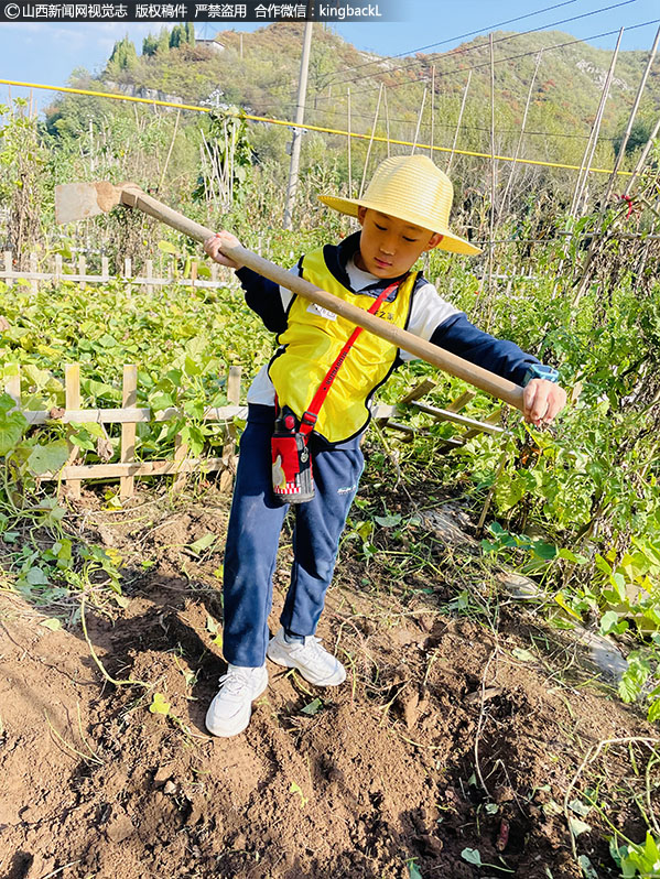      他们拿起工具，去劳动去实践，在田间地头中丰富着自己的人生，紧张的劳作氛围让他们感受到别样的充实。