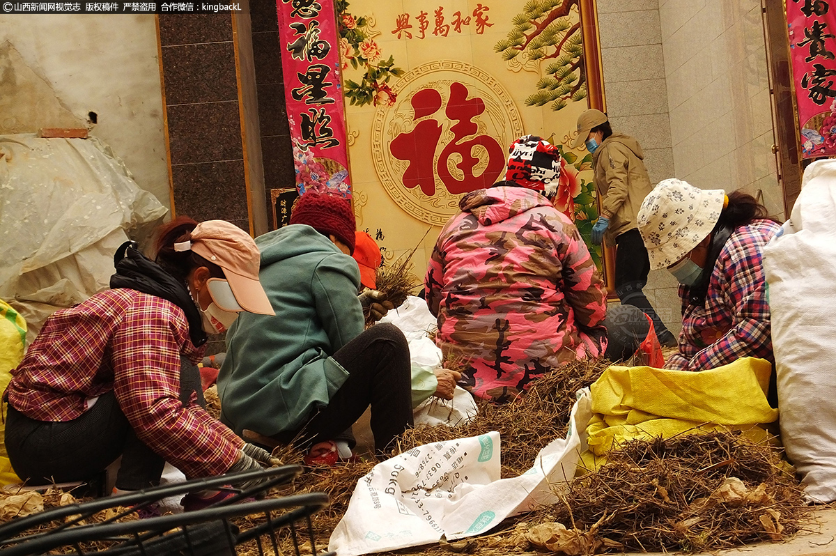      目前该市中药材种植总面积80多万亩，总产量30多万吨，总产值20多亿元。