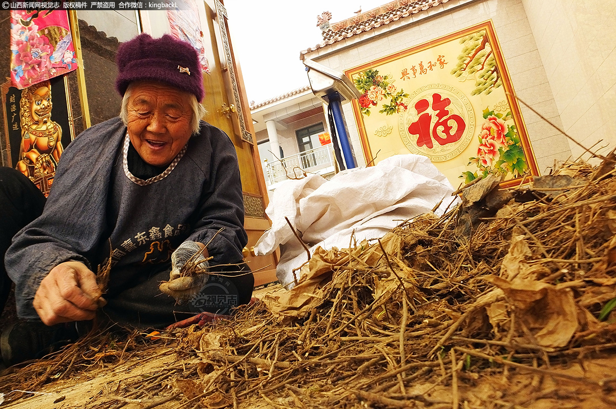      运城市纳入《中国药典》和地方中药材标准的有225种，有购销记录的166种，其中可以种植养殖的51种。