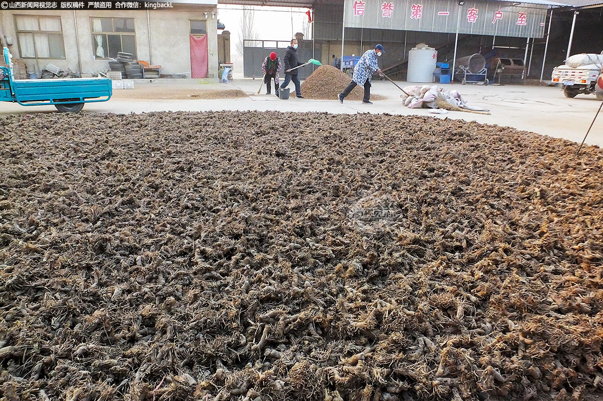      据当地药农介绍，这段时间疫情防控政策优化后，叠加临近年底，大量外来采购商都过来采购药材，这段时间交易是比较火爆的。