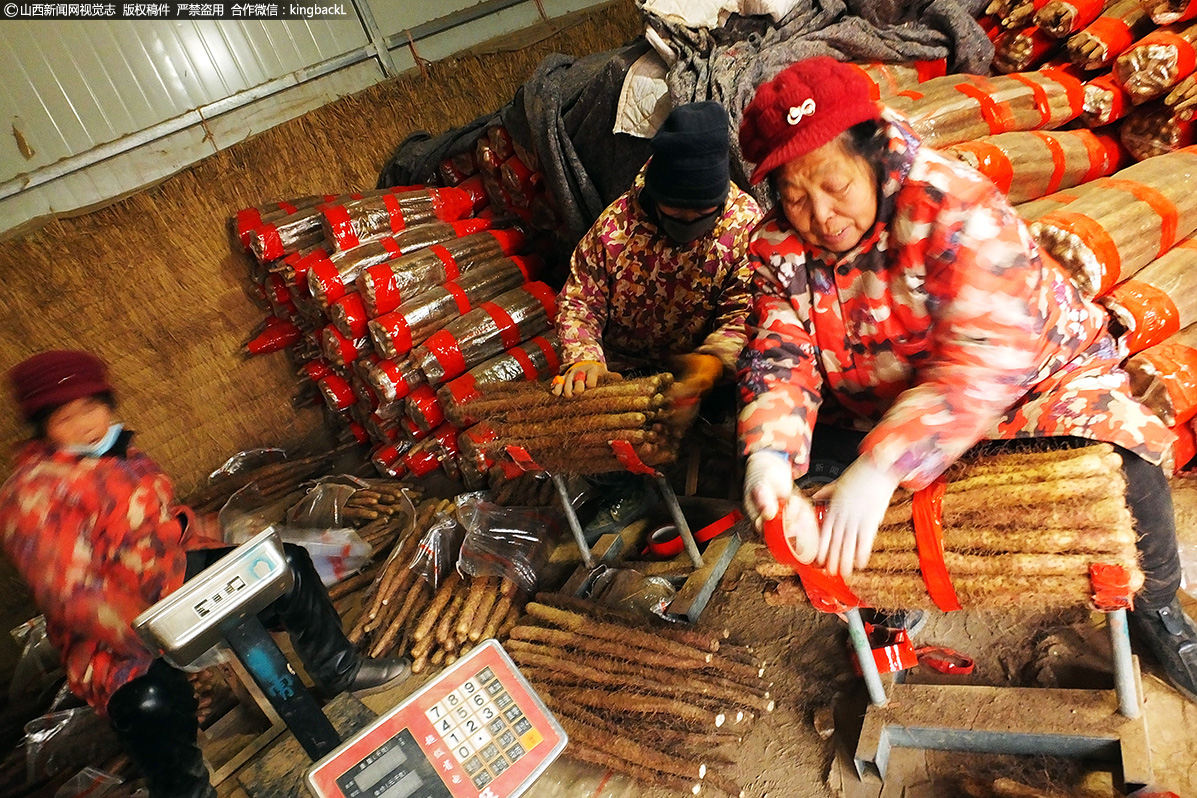      据了解，近年来，当地将传统与现代农业种植相结合，以山药种植销售专业村辐射并带动周边运城、临汾等县市形成山药种植产业圈。