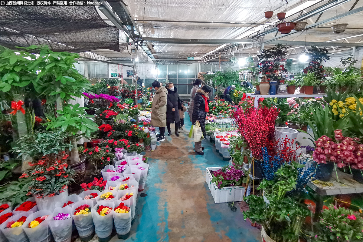      位于太原市万柏林区前进路的花鸟鱼虫市场内百花齐放，人头攒动。近年来，春节前逛花卉市场，成为不少市民的新选择。人们在花卉市场，选购着带有吉祥寓意的花束，装点家居。据该花卉市场一位老板介绍，春节期间，蝴蝶兰、红掌、鸿运东头等年宵花都十分畅销，深受市民们的喜爱。各行各业都在重新开始，城市也逐渐恢复了“烟火气”。