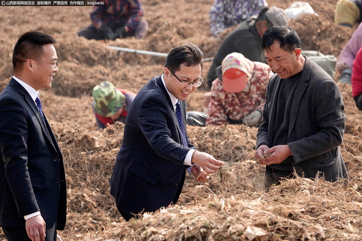      近年来，当地充分发挥无霜期长、日照充足等天时地利优势加速发展中药材，已形成种植和深加工远志、黄芩、柴胡等中药材为主，集产供销于一体的中药材基地，与北京同仁堂、葵花药业、振东集团等全国多家知名药企建立长期合作关系，辐射带动本县和周边县市农民种植中药材远志等加速脱贫增收致富，推进乡村振兴，成为华北地区最大的远志等中药材产销地之一。