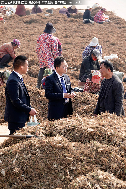      截止当日，做为当地政府指定乡村振兴主办银行，山西新绛农商行信贷投放持续跟进不打烊，已投放涉农贷款达4.6064亿元。其中峨嵋岭上阳王支行已累计投放涉农贷款9210万元，其中累计投放中药材贷款达4970万元，新增投放中药材贷款1153.6万元，确保了当地道地中药材特色主导农业高质量现代化、规模化、市场化和智能化再发展，奋力实现2023年药农发药“财”开门红。
