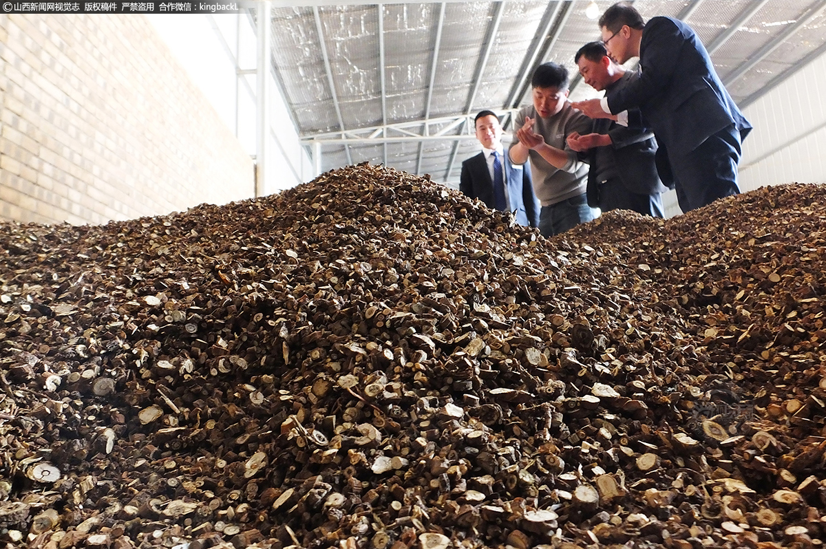      “金融服务好不好，关键看农民满意不满意。”新绛农商行阳王支行是这么说的，也是这么干的。新绛农商行阳王支行信贷经理在新绛县亘古种植专业合作社了解购买新型中药材黄芩切片机械资金需求。
