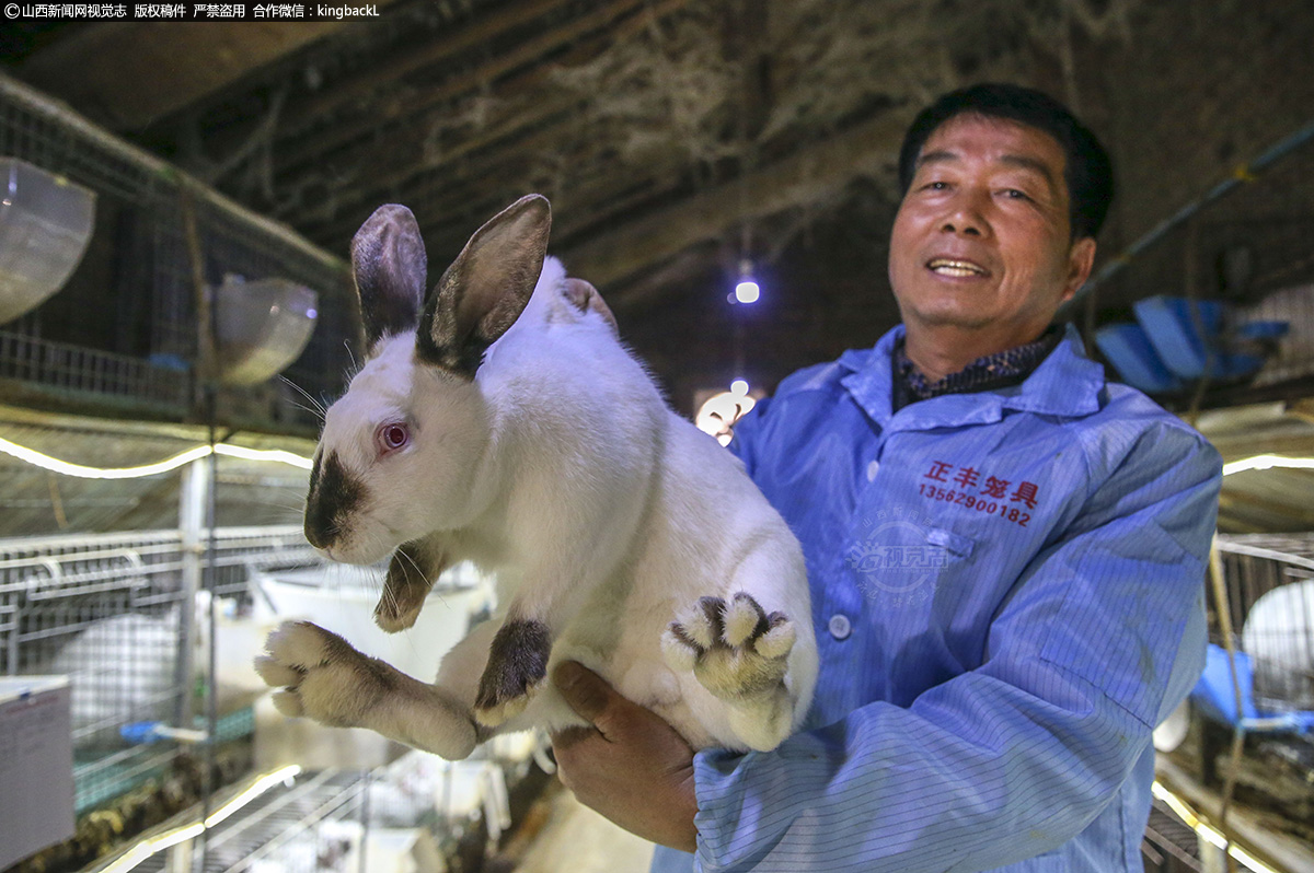      通过一年多的养殖，黄先进卖兔子的收入比在外打工收入还要多，养兔致富路开始走上正轨，养殖规模不断扩大，目前出栏的肉兔销往河南、四川等地。