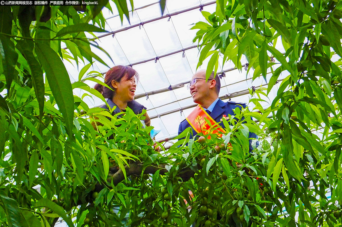      小分队发放宣传资料、讲解税收政策、开展个性化辅导，解决企业和群众“急难愁盼”的涉税问题，传递税务声音，展现税务担当。