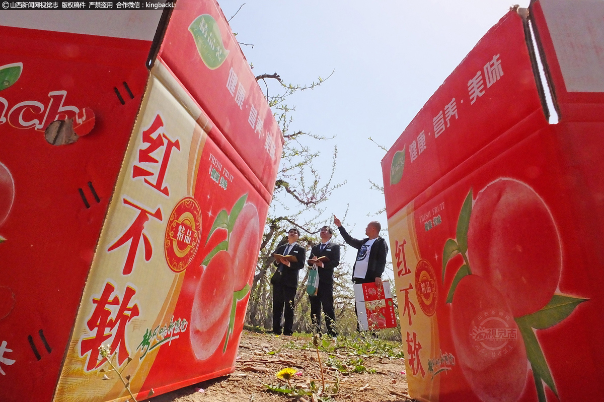      在万安镇万安村，新绛农商行万安支行信贷客户经理向万安村油桃经纪人桃农马斌了解油桃收购储备资金需求。