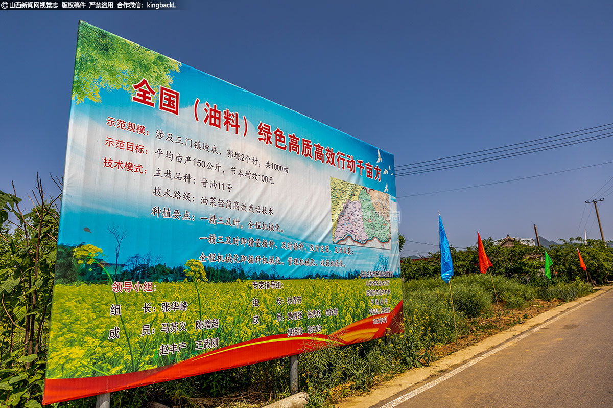      油料绿色高质高效示范县项目实施后，将辐射带动平陆县油料种植达到了3万亩以上。