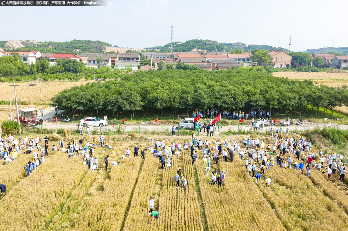      在实践活动中，孩子们把书本上学到的知识付诸实践，在农民伯伯现场的手把手指导下，亲身感受先祖后稷农耕文化的精髓。