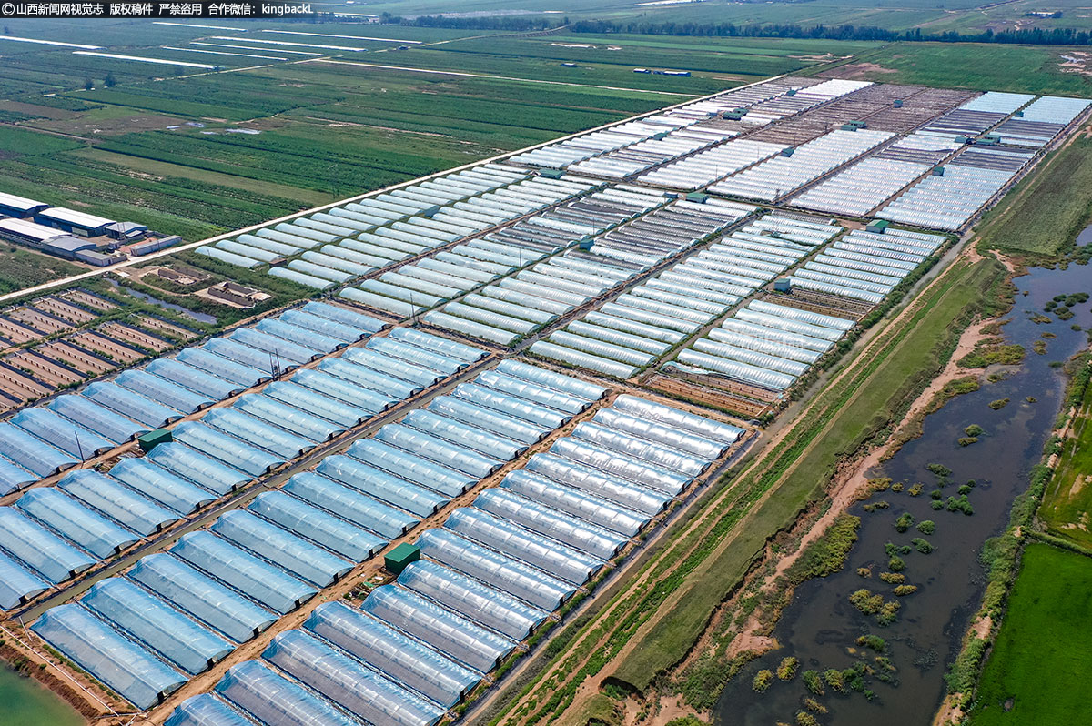      有了大好市场前景的鼓励，总投资5亿元、总面积3000亩的养殖基地开始启动，目前已经建成1000亩，设1000个养殖棚，成为晋陕豫最大的南美白对虾养殖基地，年产南美白对虾2500万斤。