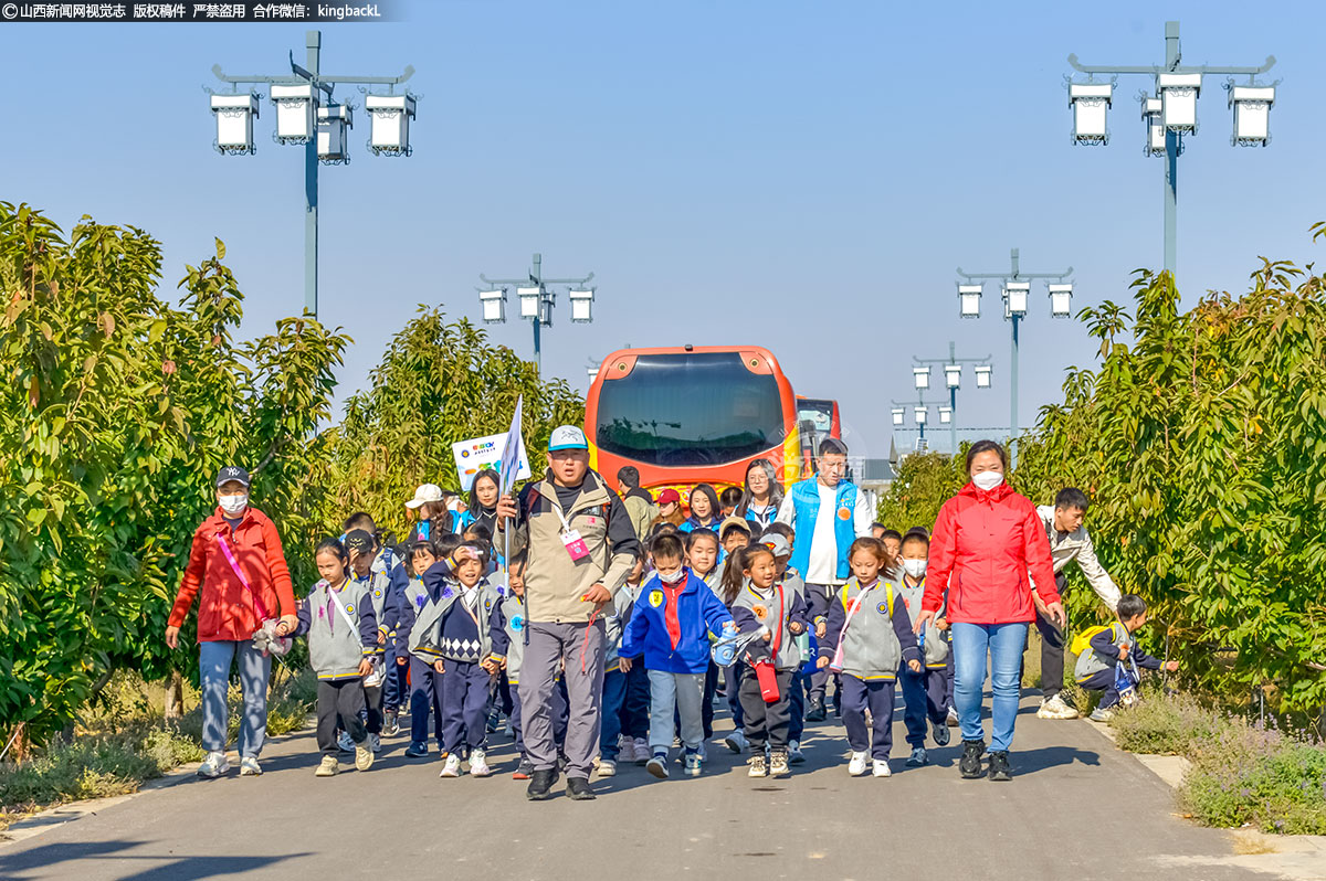      10月22日，晋中榆次清清苹果共享农庄热闹非凡，一场由山西省实验小学一年级学生与家长共计600余人参与的亲子活动在这里如火如荼地进行。这次活动的主题是劳动实践项目化学习研学课程，旨在通过生动有趣的互动项目，让孩子们在快乐的时光中感受劳动的艰辛与乐趣，增进对农民和大自然的热爱。（■山西新闻网特约摄影师：张耀宇）