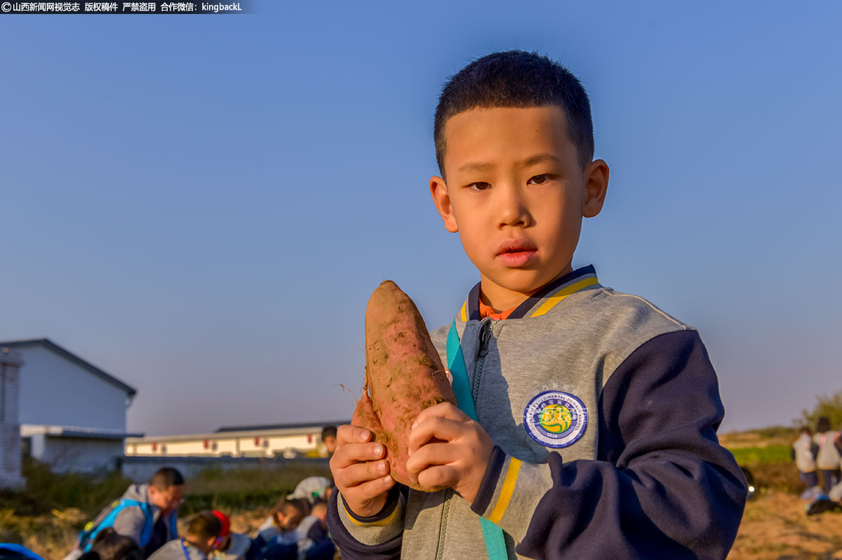      孩子们欣喜地看着自己亲手挖出来的红薯，阳光下的红薯显得格外诱人。他们的脸上洋溢着自豪和喜悦的笑容，心中充满了劳动的喜悦和成就感。