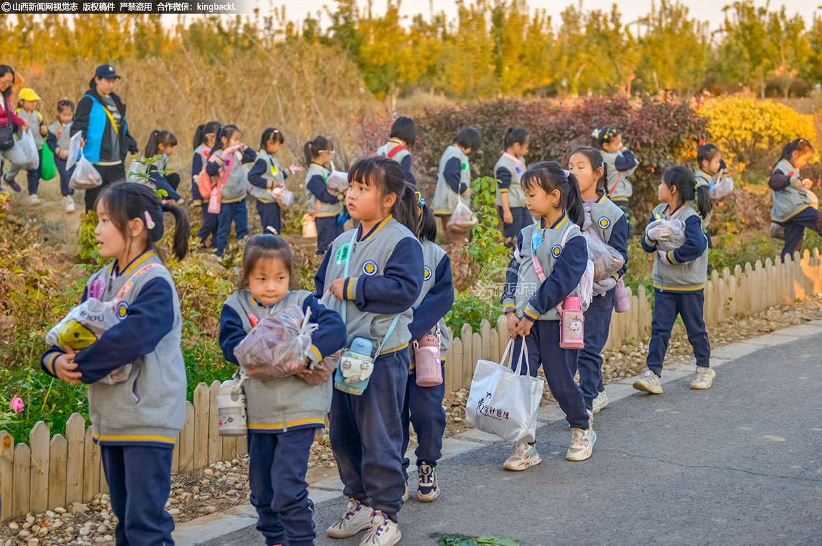      孩子们拿着自己收获的劳动成果薯，兴高采烈地走在农庄里。这场活动不仅让孩子们体验到了劳动的乐趣，也让他们学到了许多有关大自然的知识和生活的技能。他们充分感受到了劳动的不易，增加了对农民伯伯与大自然的热爱之情。同时，这次活动也推动了农业与旅游业的深度融合，为乡村振兴战略的实施注入了新的活力。