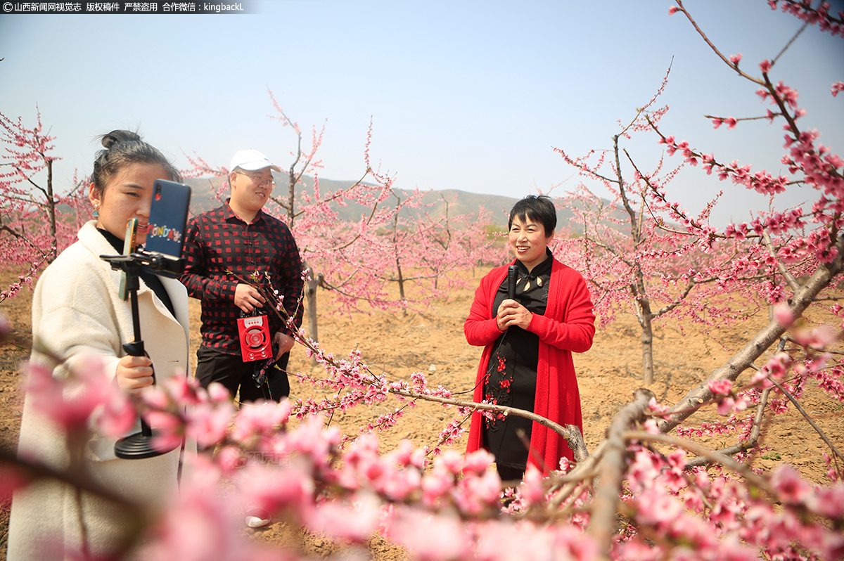      贺家庄地处丘陵地带，独特的自然环境，使这里适宜发展经济林果产业。从2004年4月6日，贺家庄举办第一届桃花节开始，今年已连续举办二十届乡村风情桃花会。以贺家庄村为中心，周围几个村子都种植桃树，号称万亩贺家庄鲜桃。