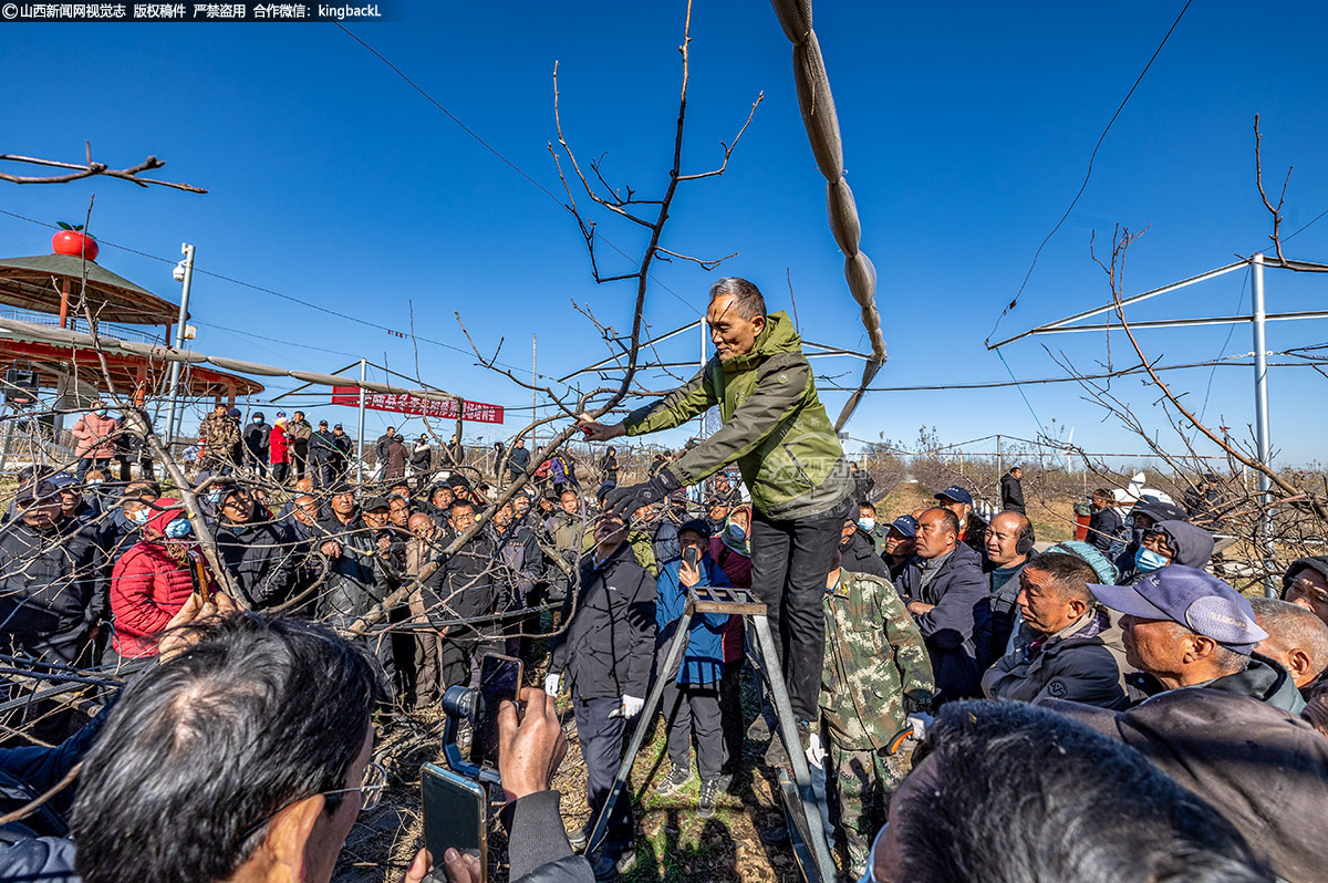      在培训现场，专家们详细讲解了果园冬季修建的目的和修建后的注意事项，并现场实际操作，解答果农在当前修剪中存在的疑惑和问题。